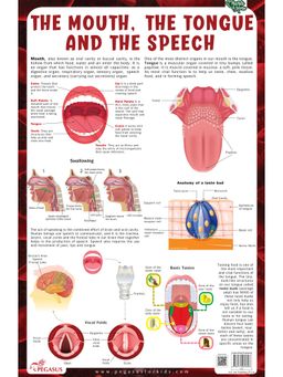 Pegasus - The Mouth, the Tongue and the Speech Thick Laminated Chart