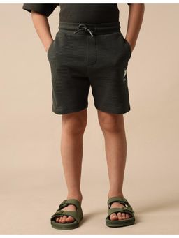 U.S. POLO ASSN. - Boys Textured Regular Fit Shorts