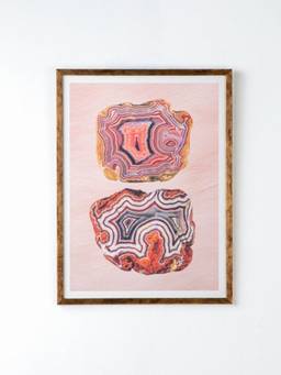 Freedom Tree - Echoes In Agate Red Harmony Wall Art With Acrylic Frame
