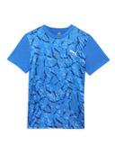 Blue color option, Sold out, Currently selected
