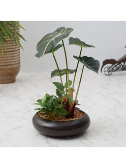 HomeTown - Ilana Faux Alocasia Ceramic Potted Plant 33 Cm in Green Colour
