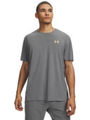 Grey color option, Sold out