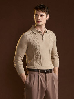 The Bear House - Men Brown Textured Sweatshirt