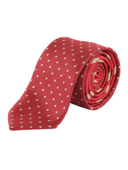 Alvaro Castagnino - Mens 100 Percent Microfiber Necktie