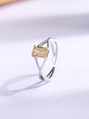 Silver color option, Currently selected