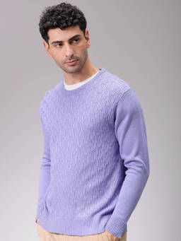 The Indian Garage Co - Men Purple Relaxed Fit Solid High Neck Full Sleeves Sweater