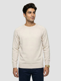 Spykar - Men Beige Regular Fit Sweater