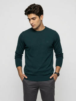 Spykar - Men Green Regular Fit Sweater
