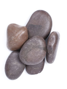 Itsy Bitsy - Pebbles Brown 3kg