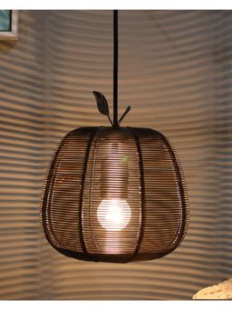 Homesake - Black Metal Pendant Light Wire Mesh Apple