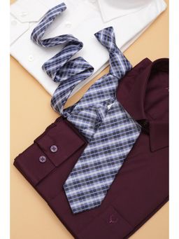 Allen Solly - Men Multi-Color Checks Formal Tie