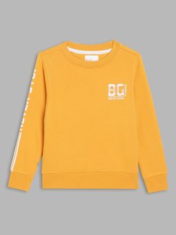 Blue Giraffe - Boys Yellow Solid Round Neck Full Sleeves Sweatshirt