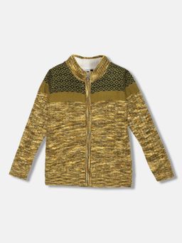 Blue Giraffe - Boys Olive Solid High Neck Full Sleeves Sweater