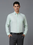 Green color option, Currently selected