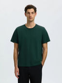 Green color option, Currently selected