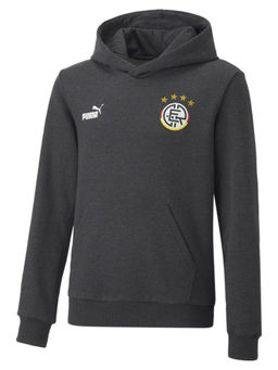 Puma - Ftblcore Fan Unisex Kids Gray Hoodie