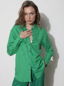 Green color option, Currently selected