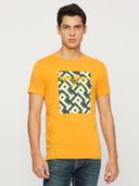 Yellow color option, Sold out
