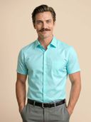 Aqua color option