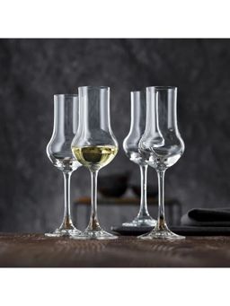NACHTMANN - Vivendi Crystal Stemmed Spitit Wine Glass (Pack of 4)