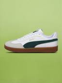 Green color option, Currently selected