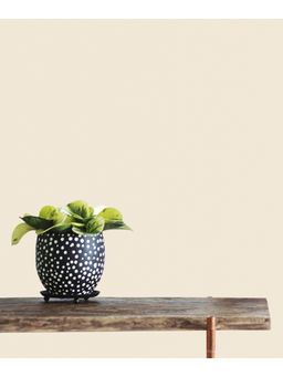 Excel - Grain Seyyah Wallpapers Cream