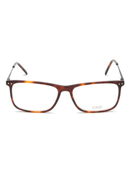 IDEE - Rectangle ID1724C3FR Brown Large Eyeglass Frames