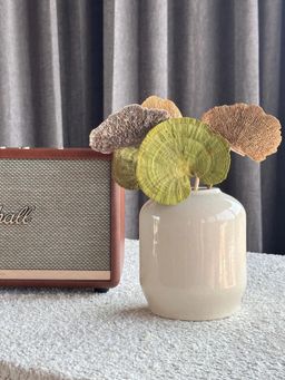 Coastal Habitat - Sponge Mushroom Trio Flower Bunch
