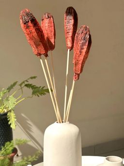 Coastal Habitat - Mahogany Stems Rust Orange Flower Bunch