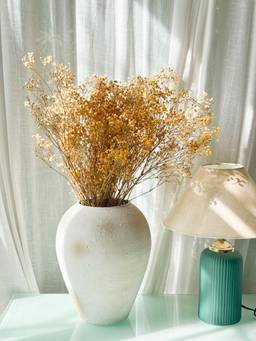 Coastal Habitat - Sicilian Babys Breath Flower Bunch