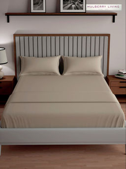 MULBERRY LIVING - Serenity Solid King Size 250TC Bedsheet with 2 Pillow Covers - Brown