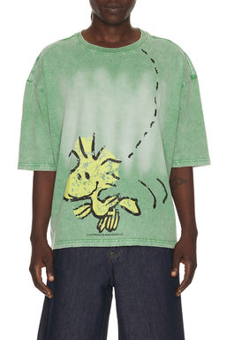 Vintage Heavy - x Peanuts Woodstock Tee