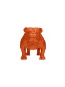 Red color option, Sold out