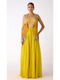 Basanti Kapde aur Koffee - The Amber Radiance Jacket & Sharara