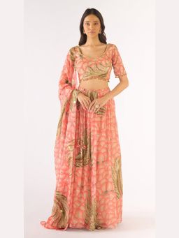 Basanti Kapde aur Koffee - Peach Organza Embroidered Lehenga And Stitched Blouse With Dupatta