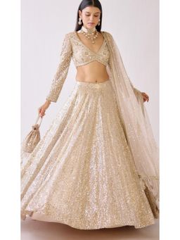 Basanti Kapde aur Koffee - The Stardust Champagne Lehenga And Stitched Blouse With Dupatta