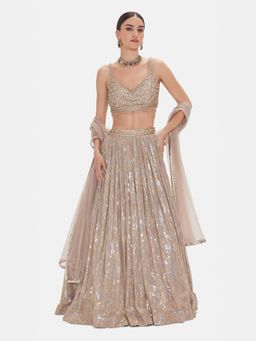Basanti Kapde aur Koffee - The Muted Champagne Lehenga And Stitched Blouse With Dupatta