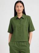 Green color option, Currently selected