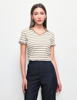 U.S. POLO ASSN. - Brown Horizontal Striped Regular Fit Polo T-Shirt