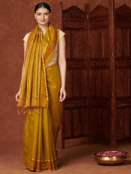 Fabindia - Cotton Silk Woven Chanderi Sari
