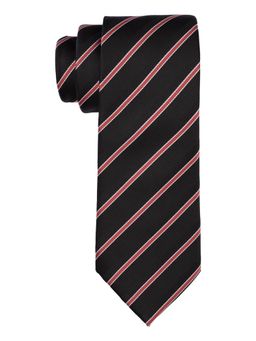 The Tie Hub - Houston Black with Red Stripes Microfiber Necktie