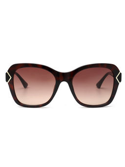 Bebe - Gradient Brown Lens Cat Eye Sunglass Brown Frame with 100% UV Protection (54)