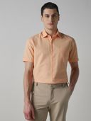 Orange color option, Currently selected