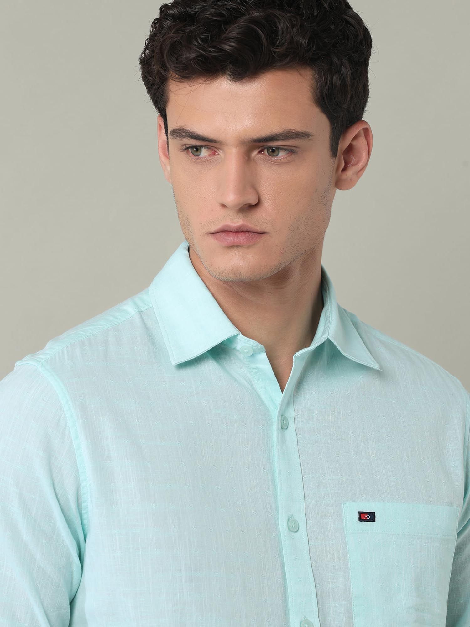 Solid Slim Fit Dobby Shirt Green
