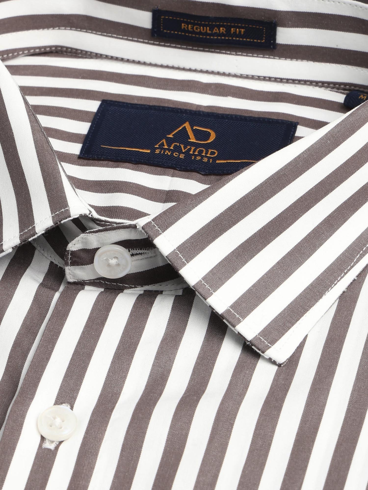 Vertical Striped Regular Fit Shirt Brown