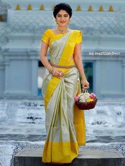 Lush Glam - Grey Zari Art Silk Border Saree with Unstitched Blouse