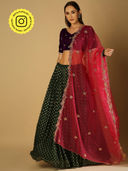 Multi-Color color option, Currently selected