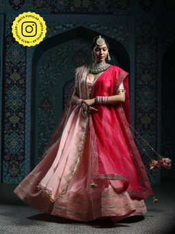 MONK & MEI - Damini Women Pink Embroidered Lehenga with Stitched Blouse and Dupatta