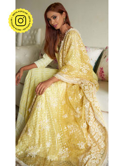 MONK & MEI - Zari Embroidered Jaal Dupatta - Yellow