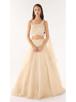 Basanti Kapde aur Koffee - White Tissue Embroidered Lehenga with Blouse and Dupatta